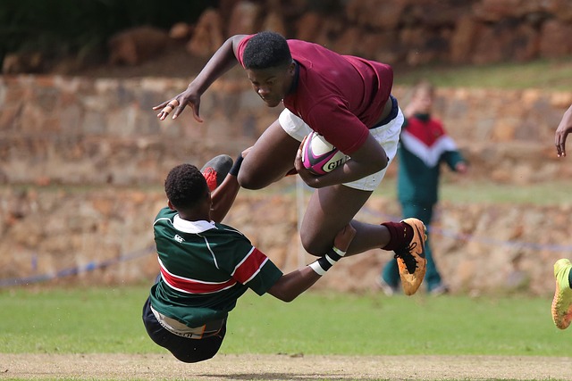 球迷这是 球迷这是